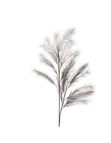 L'Oca Nera - Pampas Grigio 113h