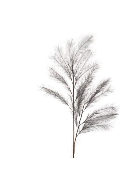 L'Oca Nera - Pampas Grigio 113h