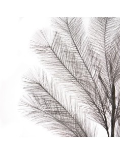 L'Oca Nera - Pampas Grigio 113h 2