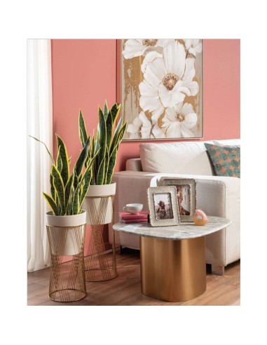 L' Oca Nera - Sanseveria - set 2 pz