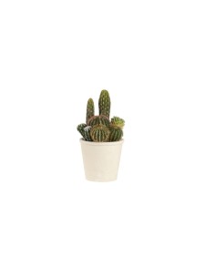 L'Oca Nera - Cactus Verde Ø16.5x30.5h