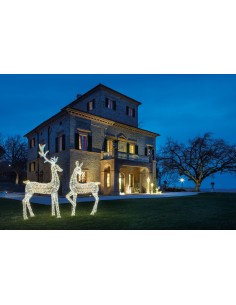 L'Oca Nera - Notte Di Luce / Piccolo Lampione Piccolo Con 720 Led Ø30X150H 2