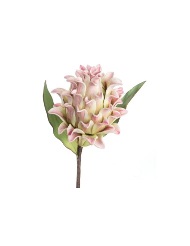 PROTEA STEM
