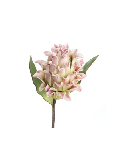 PROTEA STEM