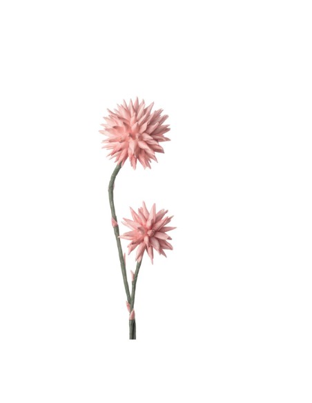 CRISANTEMO POMPON
