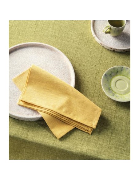 L'Oca Nera - Cardamomo - Tovaglia Antimacchia cm 155 x 270 · 10 posti