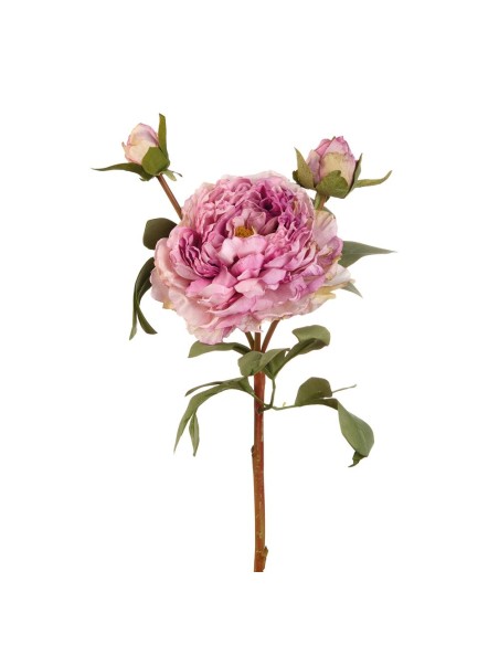 L'Oca Nera - Peonia Viola cm 60h