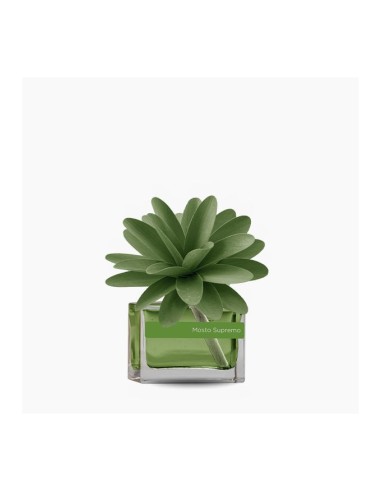 Muhà - Flower 30ml Verde Mosto Supremo
