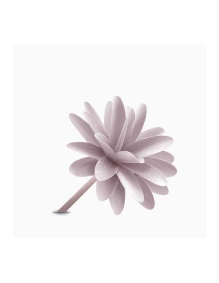 Muhà - Flower 30ml Rosa Zagara e Gardenia
