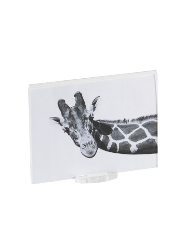 Vesta Home - Portafoto Medio Air 13/18·trasparente·13 X 18 Th. Base 8 Mm Th. Body 4 Mm