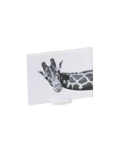 Vesta Home - Portafoto Piccolo Air 10x15·trasparente·10 X 15 Th. Base 8 Mm Th. Body 4 Mm 2