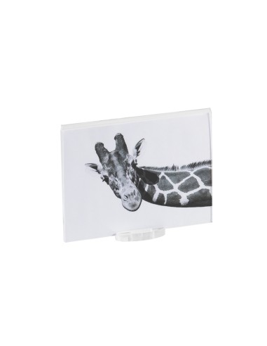 Vesta Home - Portafoto Piccolo Air 10x15·trasparente·10 X 15 Th. Base 8 Mm Th. Body 4 Mm