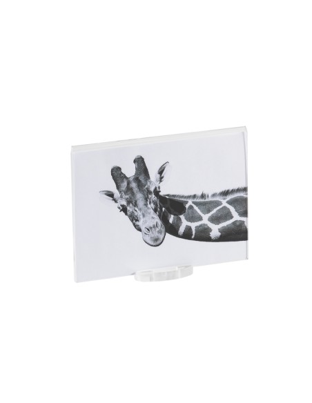 Vesta Home - Portafoto Piccolo Air 10x15·trasparente·10 X 15 Th. Base 8 Mm Th. Body 4 Mm