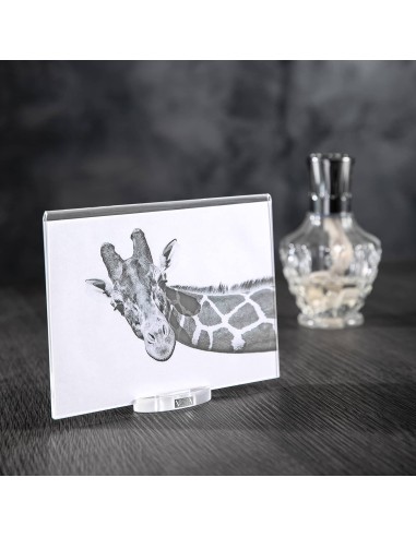 Vesta Home - Portafoto Piccolo Air 10x15·trasparente·10 X 15 Th. Base 8 Mm Th. Body 4 Mm