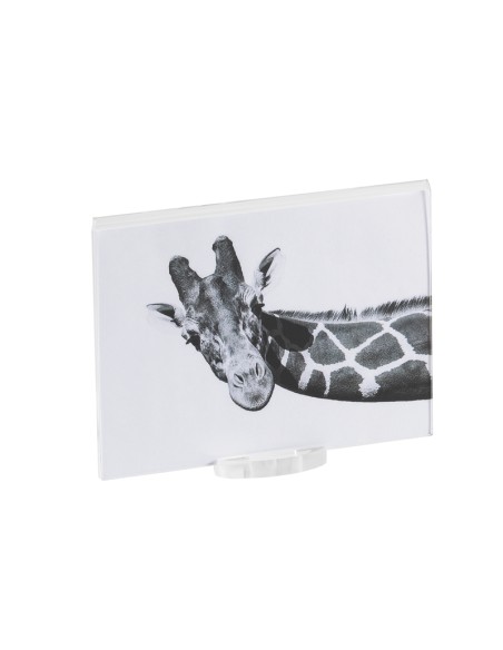 Vesta Home - Portafoto Air 15/20·trasparente·15 X 20 Th. Base 8 Mm Th. Body 4 Mm