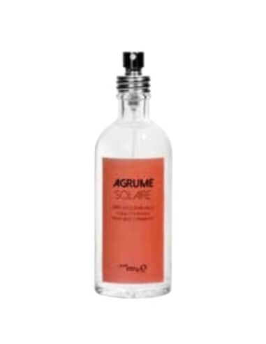 Artempo - Spray di profumo d'ambiente Niki 100ml - Agrume Solare