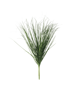 Erba H70cm