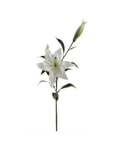 Giglio bianco H91cm