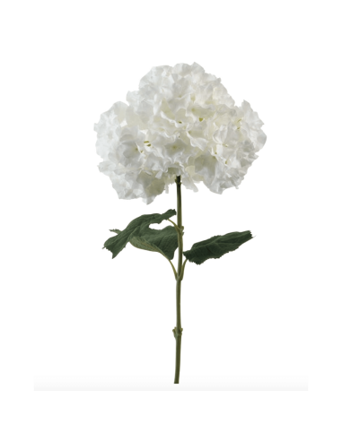 Ortensia bianca H90cm