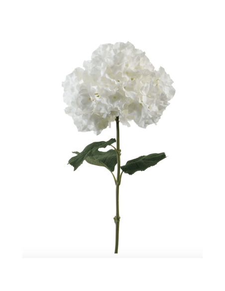 Ortensia bianca H90cm