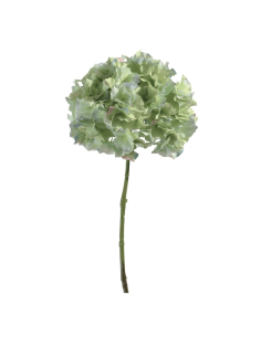 Ortensia verde acqua  H45cm