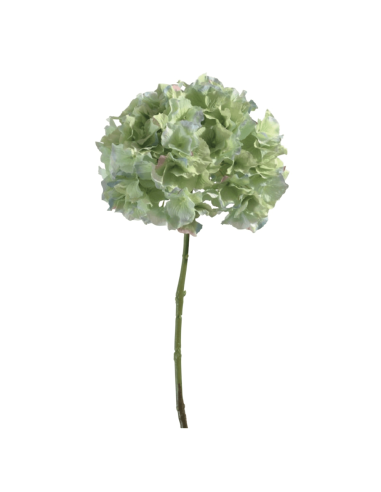 Ortensia verde acqua  H45cm