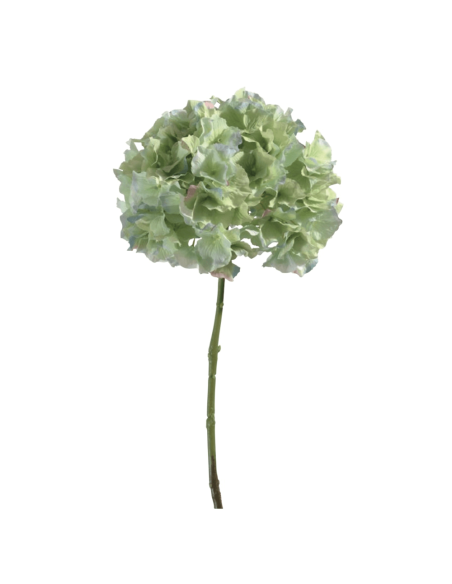 Ortensia verde acqua  H45cm