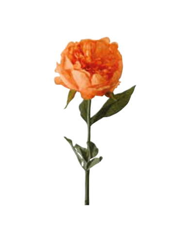 Peonia arancione H50cm