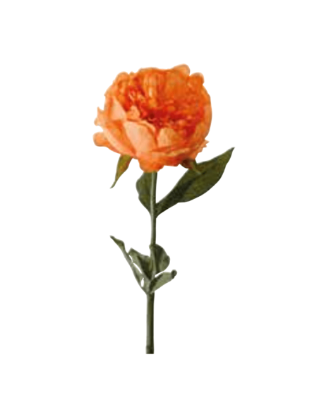 Peonia arancione H50cm