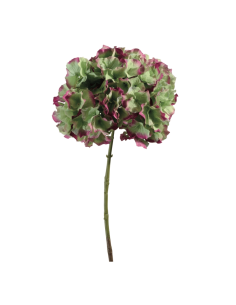 Ortensia verde porpora H45cm