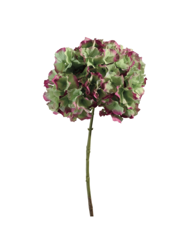 Ortensia verde porpora H45cm