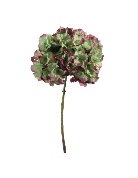 Ortensia verde porpora H45cm