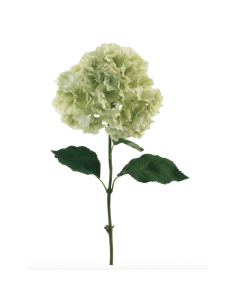 Ortensia verde chiaro H90cm