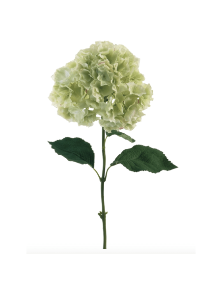 Ortensia verde chiaro H90cm
