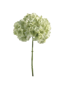 Ortensia verde chiaro H45cm