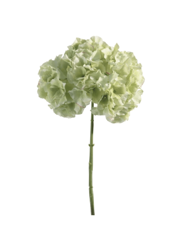 Ortensia verde chiaro H45cm