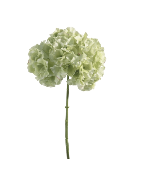 Ortensia verde chiaro H45cm