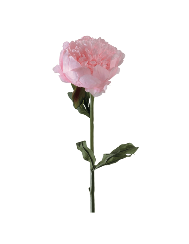Peonia rosa chiara H50cm