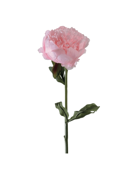 Peonia rosa chiara H50cm