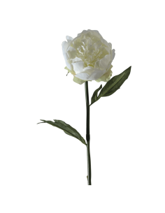 Peonia bianca H50cm