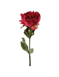 Peonia rossa H50cm