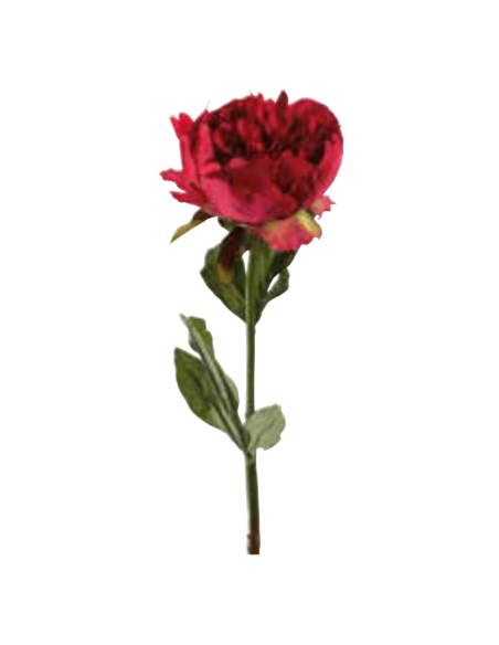 Peonia rossa H50cm