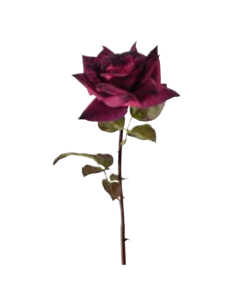 Rosa Frida rossa H53cm