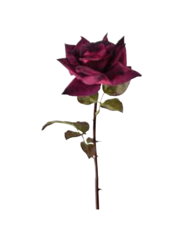 Rosa Frida rossa H53cm