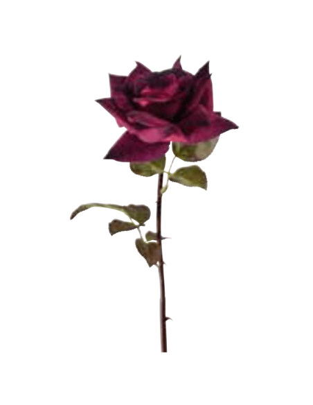 Rosa Frida rossa H53cm