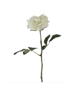 Rosa Constance bianca H47cm