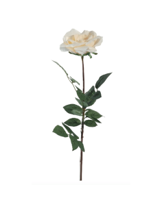 Rosa Coco bianco crema H81cm