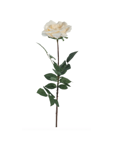 Rosa Coco bianco crema H81cm