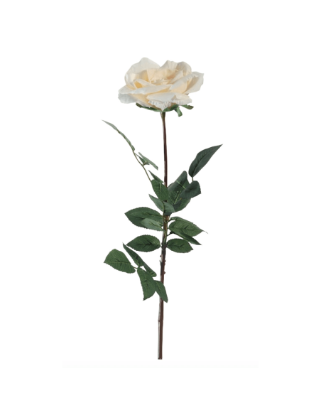 Rosa Coco bianco crema H81cm