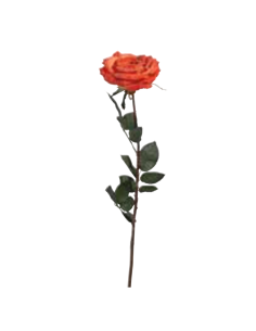 Rosa Coco arancione scuro H81cm